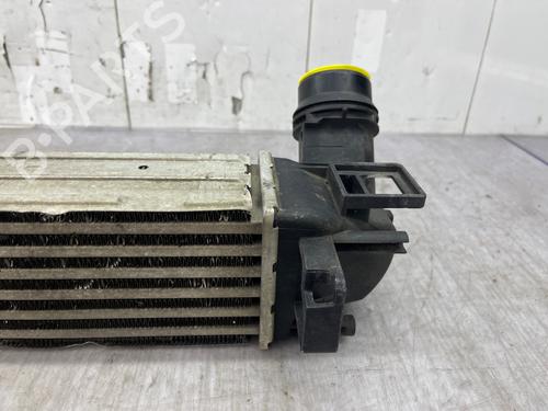 Intercooler Intercooler RENAULT SCÉNIC III (JZ0/1_) 1.5 dCi (110 hp) 36248668 36248668