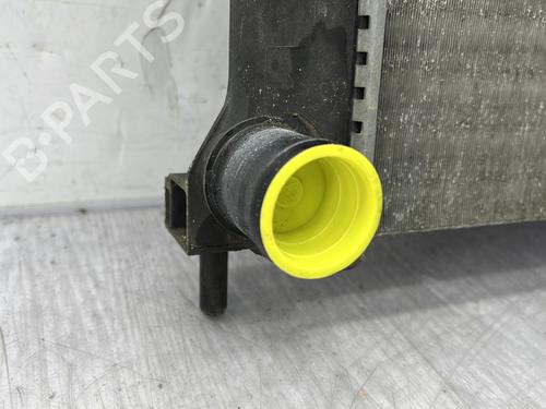 Køler RENAULT CLIO III (BR0/1, CR0/1) 1.2 16V | BP25715817M31 