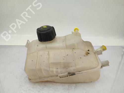 Expansion tank RENAULT MEGANE III Grandtour (KZ0/1) 1.5 dCi (KZ0C, KZ1A) | BP23719361C120 