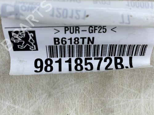 Used Interior roof Interior roof CITROËN C3 III (SX) 1.5 BlueHDi 100 (SXYHYP, SXYHTU) (102 hp) 23663026 23663026