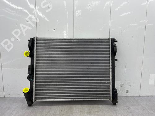 Water radiator RENAULT KANGOO (KC0/1_) D 65 1.9 (KC0E, KC02, KC0J, KC0N) | BP34624788M31  - Image 7
