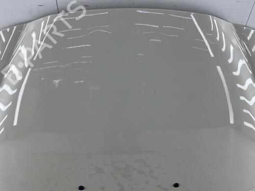 Used Hood Hood ALFA ROMEO MITO (955_) 1.4 (955.AXB1B, 955.AXU1A) (78 hp) 33969304 33969304