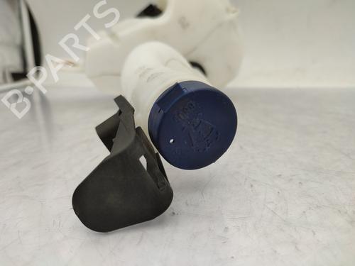 Windscreen washer tank FIAT PUNTO EVO (199_) 1.2 | BP29063279C113
