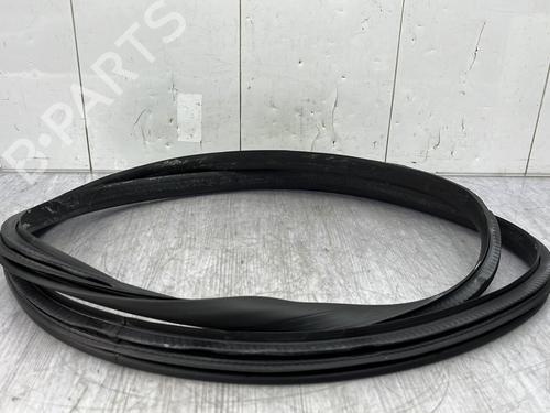 Rubber door seal RENAULT MEGANE IV Hatchback (B9A/M/N_) 1.6 dCi 165 769230508R