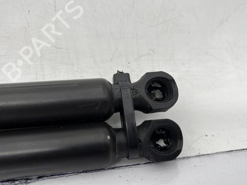 Tailgate lift support RENAULT CLIO IV (BH_) 0.9 TCe 90 (BHNF, BHMA, BHMH, BHJK, BHJR) | BP23758831C138 