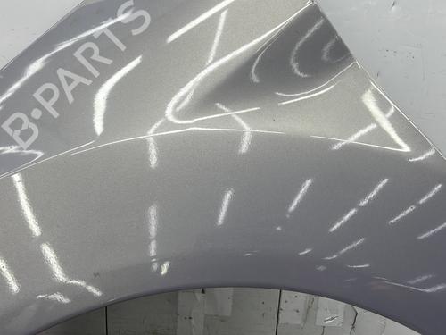 Left front fenders FORD FIESTA VI (CB1, CCN) 1.25 | BP27304224C41 