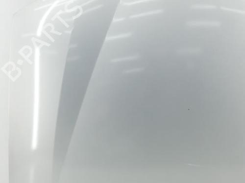 Used Hood Hood RENAULT LAGUNA II (BG0/1_) 1.6 16V (BG0A, BG0L) (107 hp) 23697124 23697124