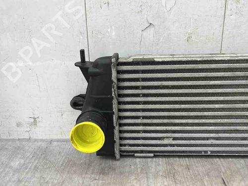 Intercooler RENAULT TRAFIC II Bus (JL) 2.0 dCi 90 (JL00, JL01, JL0H, JL0M, JL0P, JL0S) | BP36591258M30 - Image 7