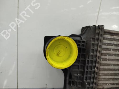 Intercooler MERCEDES-BENZ M-CLASS (W164) ML 320 CDI 4-matic (164.122) | BP23728540M30 