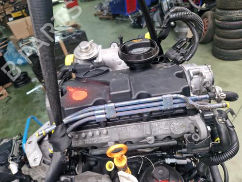 Engine VW POLO IV (9N_, 9A_) 1.4 TDI | BP23678751M1
