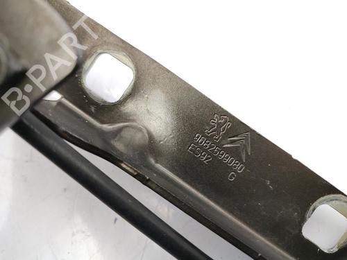 Hinge/Door check strap PEUGEOT 3008 I MPV (0U_) 2.0 HDi 150 / BlueHDi 150 | BP23722975C146 