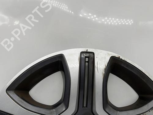 Hub cap DACIA SANDERO II TCe 90 (B8M1, B8MA, B8AC) | BP24541295C160