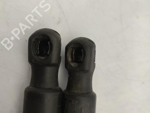 Tailgate lift support VW GOLF VI (5K1) 1.6 TDI | BP25820316C138 