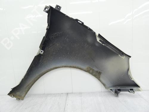 Left front fenders RENAULT SCÉNIC III (JZ0/1_) 1.9 dCi (JZ0J, JZ1J, JZ1K, JZ1S) | BP23697513C41 