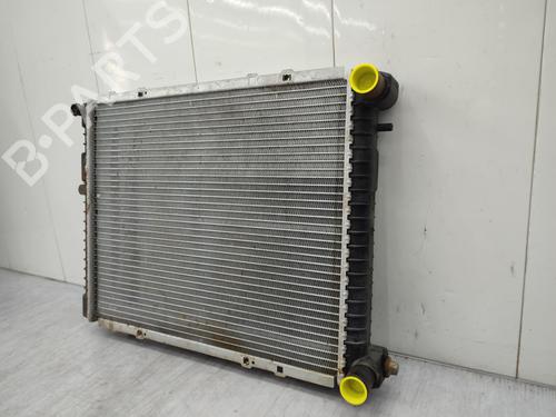 Water radiator RENAULT TRAFIC Van (T_, P_, V_)  | BP23743018M31 