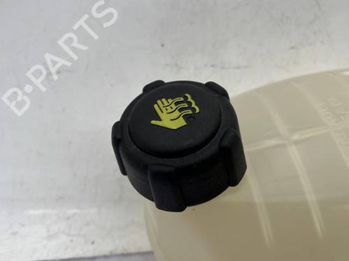 expansion-tank-dacia-sandero-iii-2021-23758225 main image