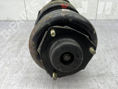 Right front shock absorber NISSAN X-TRAIL I (T30)  | BP24950473M17 