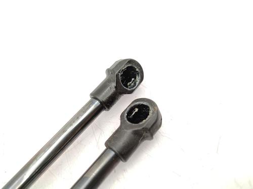 Hood lift support RENAULT TRAFIC III Van (FG_) 2.0 dCi 145 (FGML) | BP23731092C139