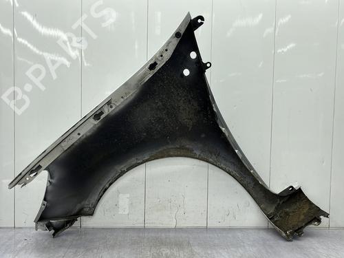 Right front fenders RENAULT CLIO III (BR0/1, CR0/1) 1.2 16V | BP23663047C42 