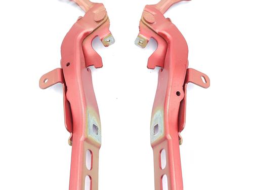 Hinge/Door check strap PEUGEOT 2008 II (UD_, US_, UY_, UJ_, UR_, UC_) 1.5 BlueHDI 130 | BP23754536C146 