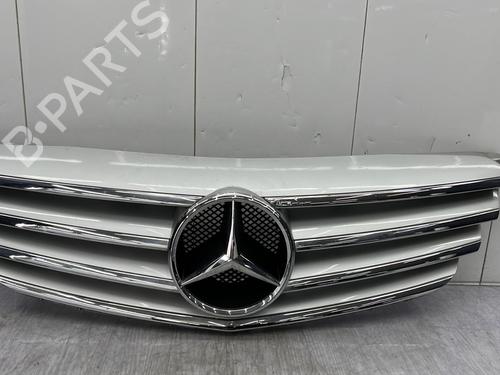 Used Grille MERCEDES-BENZ B-CLASS Sports Tourer (W245) B 180 CDI (245.207) (109 hp) 23683934