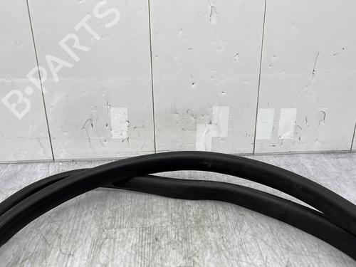 Gummiliste RENAULT MEGANE IV Hatchback (B9A/M/N_) 1.2 TCe 130 (B9MR) | BP23868330C142 - Image 4
