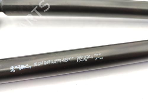 Tailgate lift support PEUGEOT 2008 II (UD_, US_, UY_, UJ_, UR_, UC_) 1.5 BlueHDI 130 | BP23754553C138 
