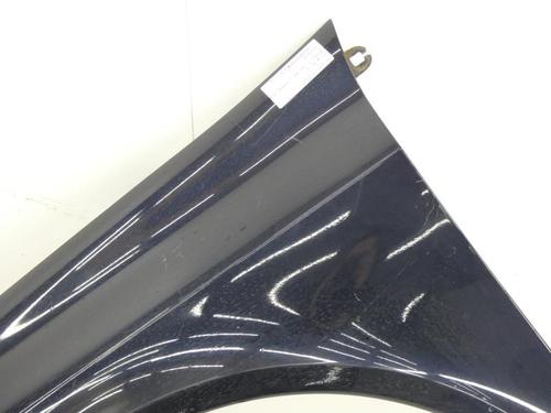 Left front fenders RENAULT LAGUNA II Grandtour (KG0/1_) 2.0 dCi (KG1S) | BP23691630C41 