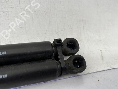 Tailgate lift support DACIA SANDERO II TCe 90 (B8M1, B8MA, B8AC) | BP31321468C138