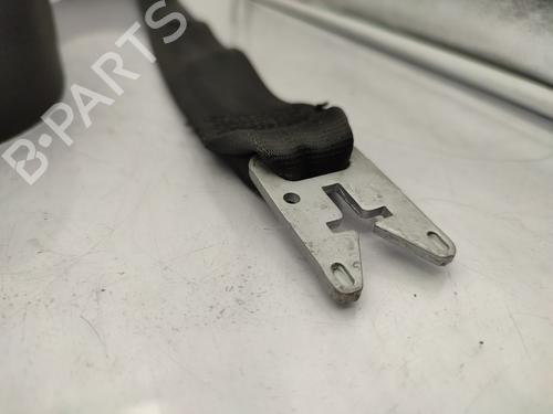 Front left belt tensioner RENAULT SCÉNIC III (JZ0/1_) 1.9 dCi (JZ0J, JZ1J, JZ1K, JZ1S) | BP29158677C87 