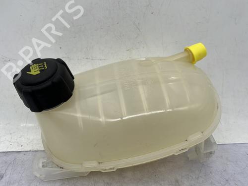 Used Expansion tank DACIA SANDERO III 1.0 TCe 100 ECO-G (101 hp) 23758225