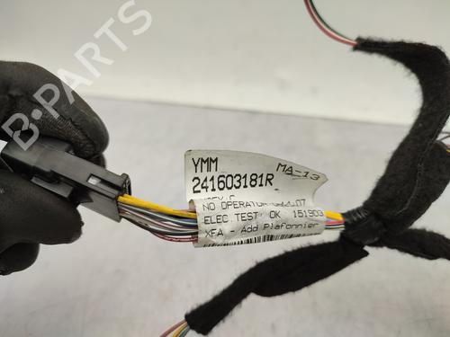 Elektronisk modul RENAULT SCÉNIC IV (J9_) 1.6 dCi 130 | BP26409939M83 