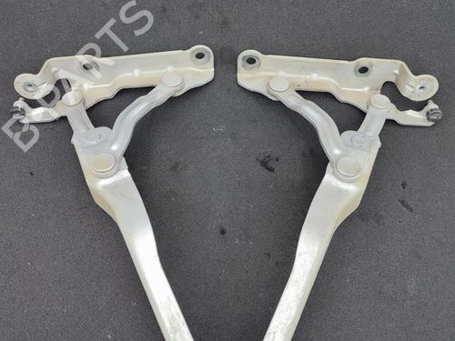Hinge/Door check strap SKODA OCTAVIA II (1Z3) 2.0 TDI 16V | BP23752497C146 