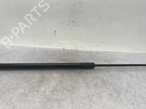 Hood lift support DACIA DUSTER (HS_) 1.5 dCi | BP31016894C139