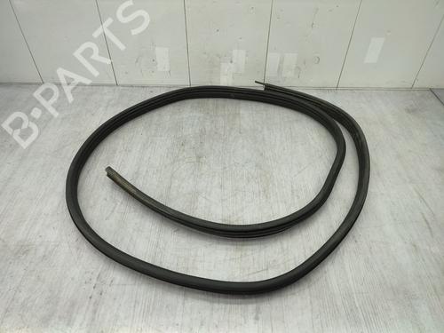 Used Rubber door seal DACIA SPRING EV (B6M1) (45 hp) 24304154