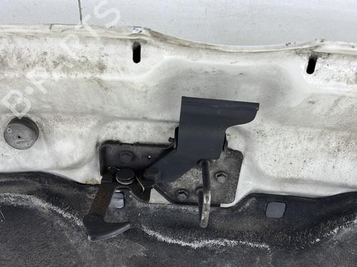 Hood VW TRANSPORTER T5 Van (7HA, 7HH, 7EA, 7EH) 1.9 TDI | BP27571229C1 