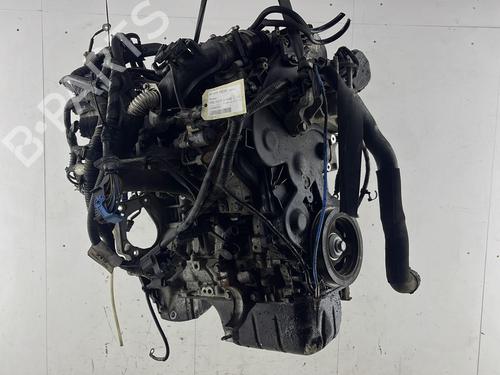 Used Engine FORD FOCUS III 1.6 TDCi (115 hp) 30389248