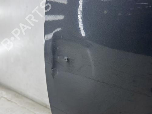 Left front door BMW 5 (E60) 530 d | BP26939949C2 