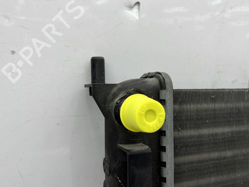 Køler RENAULT CLIO III (BR0/1, CR0/1) 1.2 16V | BP25715817M31 