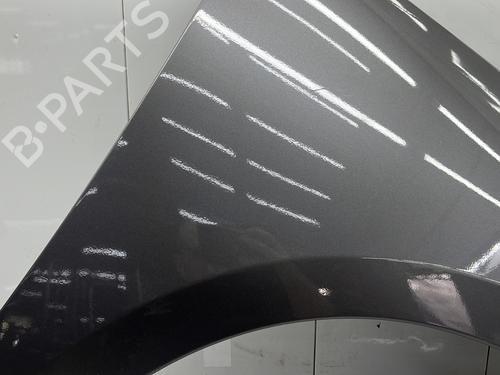Right front fenders RENAULT SCÉNIC III (JZ0/1_) 1.5 dCi | BP27884117C42 