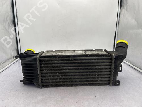Intercooler CITROËN C5 II (RC_) | BP35890486M30 - Image 10