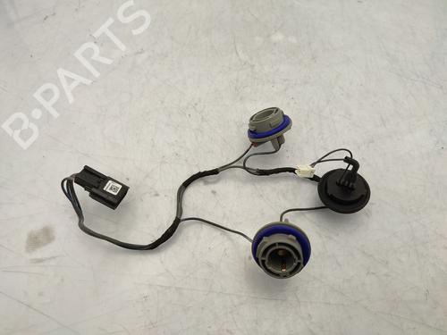 Lamp holder RENAULT SCÉNIC IV (J9_) 1.3 TCe 140 265505180R