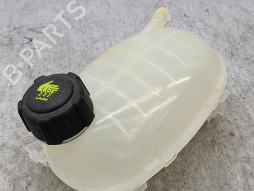 Used Expansion tank DACIA SANDERO III 1.0 TCe 100 ECO-G (101 hp) 23708528