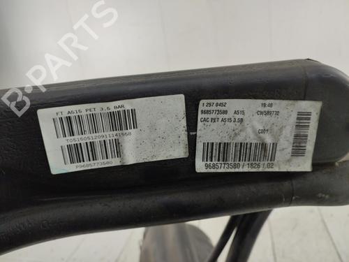 Used Fuel tank CITROËN C3 II (SC_) 1.4 VTi 95 (95 hp) 23709014