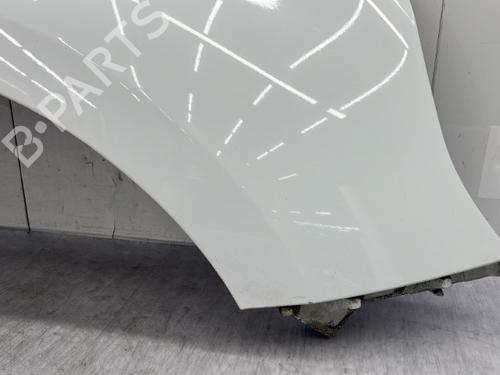 Right front fenders RENAULT SCÉNIC III (JZ0/1_) 1.5 dCi | BP23756533C42 