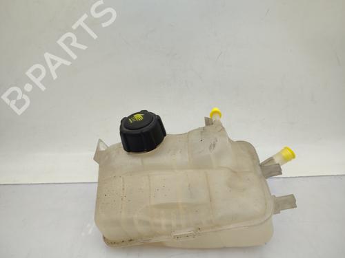 Used Expansion tank RENAULT MEGANE III Hatchback (BZ0/1_, B3_) 1.5 dCi (BZ09, BZ0D, BZ1W, BZ29, BZ14) (110 hp) 23739355