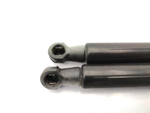 Tailgate lift support SKODA FABIA II (542) 1.2 TSI | BP23749336C138 