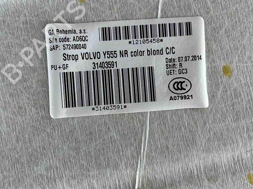 Interior roof VOLVO V40 Hatchback (525) D2 | BP36439967I12  - Image 6
