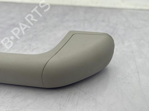 Interior roof handle DACIA SANDERO III 1.0 TCe 100 ECO-G | BP23761547I35 