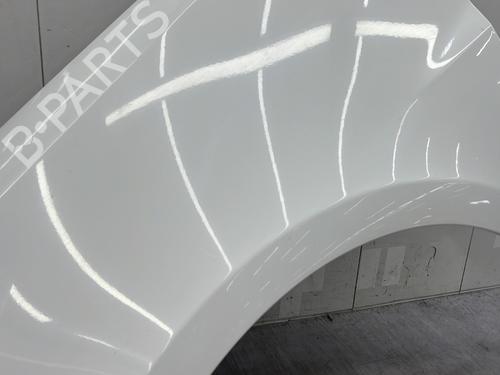 Left front fenders RENAULT CLIO III (BR0/1, CR0/1) 1.5 dCi (C/BR0G, C/BR1G) | BP25006487C41 